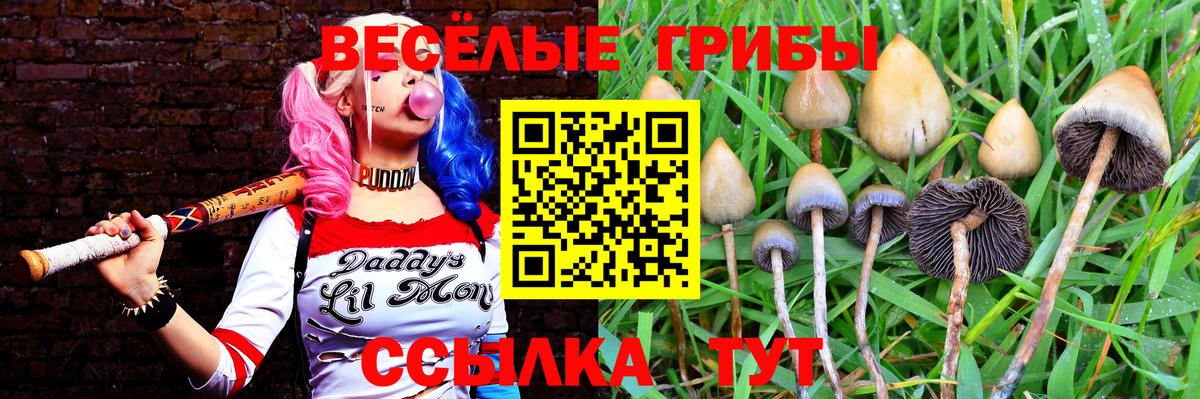 Галлюциногенные грибы Magic Shrooms  где можно купить наркотик  Вход с VPN  Петрозаводск  Галлюциногенные грибы мухоморы 