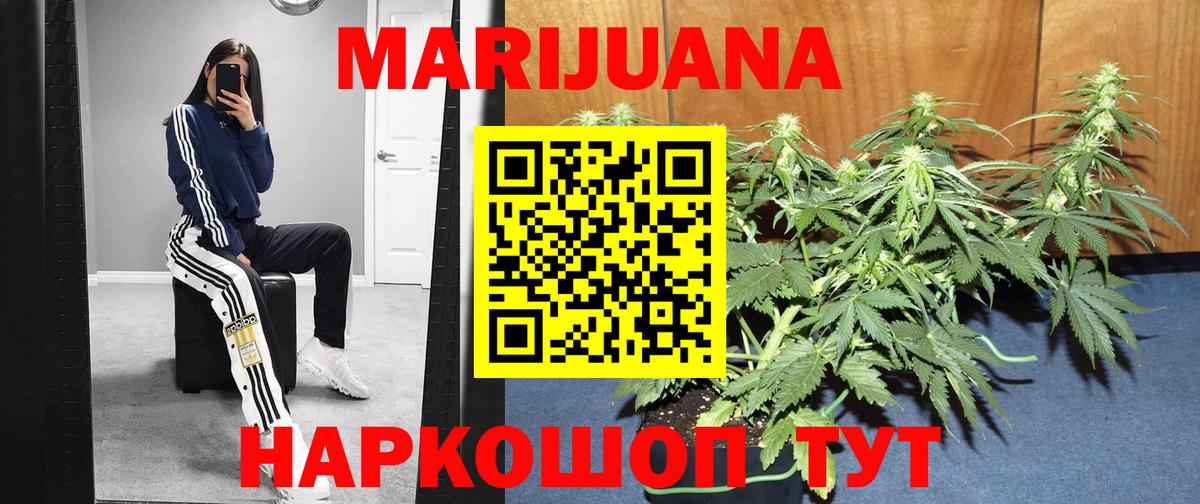 Конопля сатива Петрозаводск